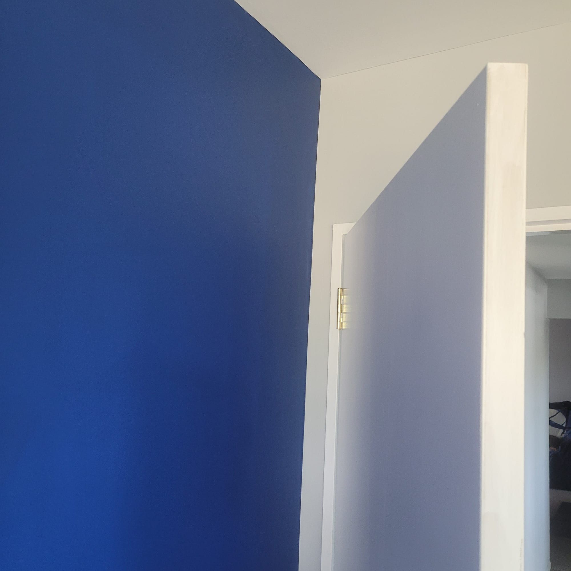 Deep blue feature wall in a bright room